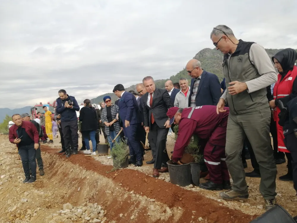 Milli Ağaçlandırma Gününde  Karbon Zengini Tohumlar Toprakla Buluşturuldu