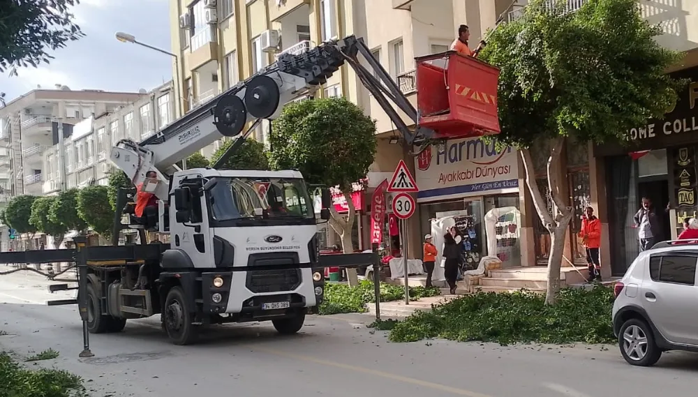 Anamur’un Yeşiline Büyükşehir Eli Değdi!