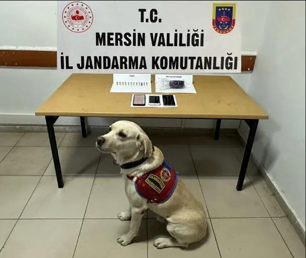 Mersin’de Jandarmadan Zehir Tacirlerine Büyük Darbe: 8 Gözaltı